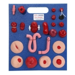 305-advanced-stoma-package-1000×1000